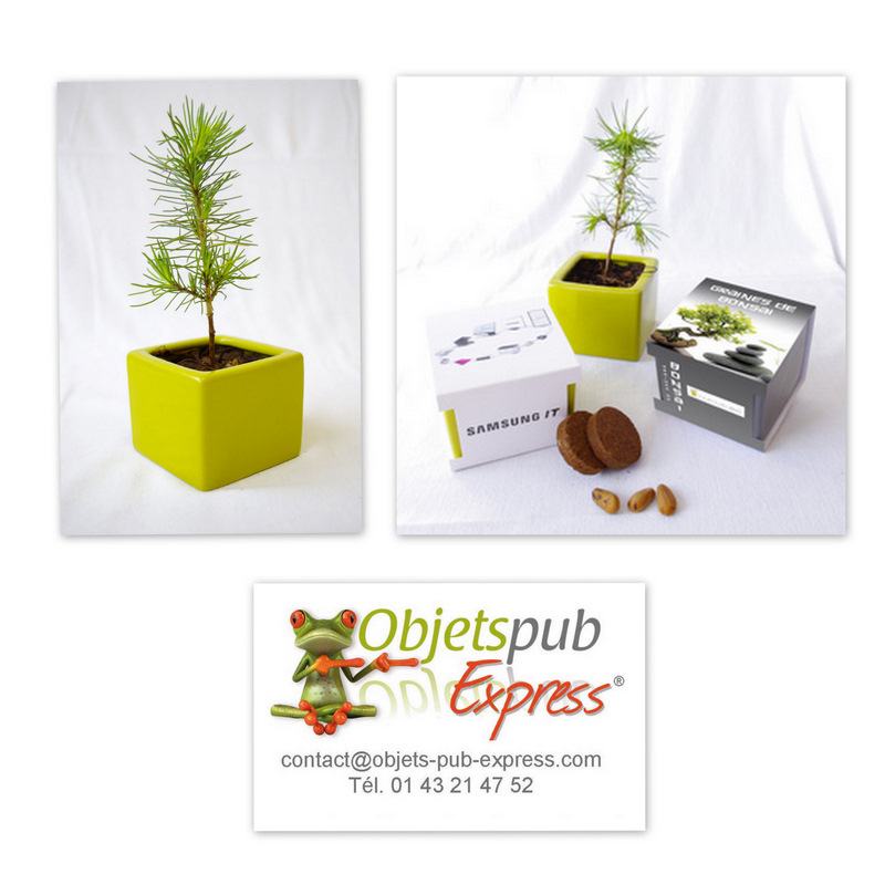 mini kit plantation  Objets publicitaires green