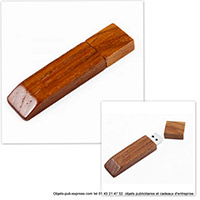 cle usb publicitaire  sur mesure pour entreprise (11)