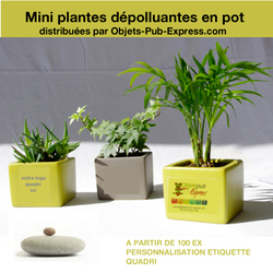 PLANTE-DEPOLLUANTE-EN-CUBE-objets-pub-Ecolos