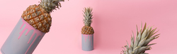Objets-Pub-Express-Green